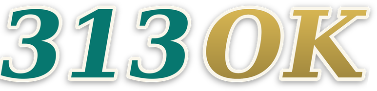 313ok